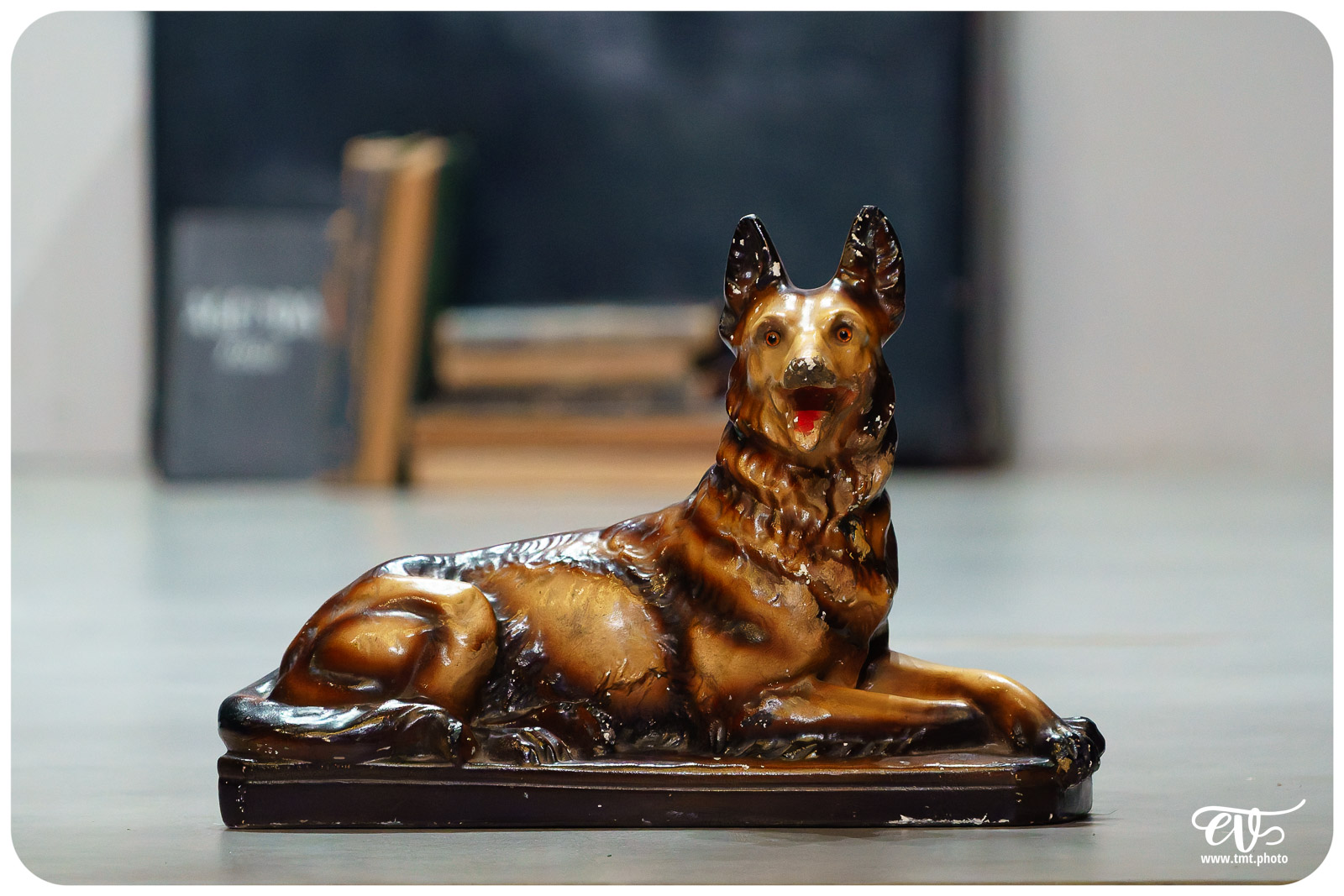 LA DISPARITION DE JOSEF MENGELE (CIE L'IDEE DU NORD)